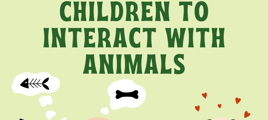 Safe Ways for Children to Interact with Animals